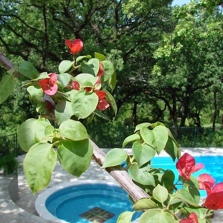 Poolside Apartments Miljan I Ranko Херцег-Нови Экстерьер фото